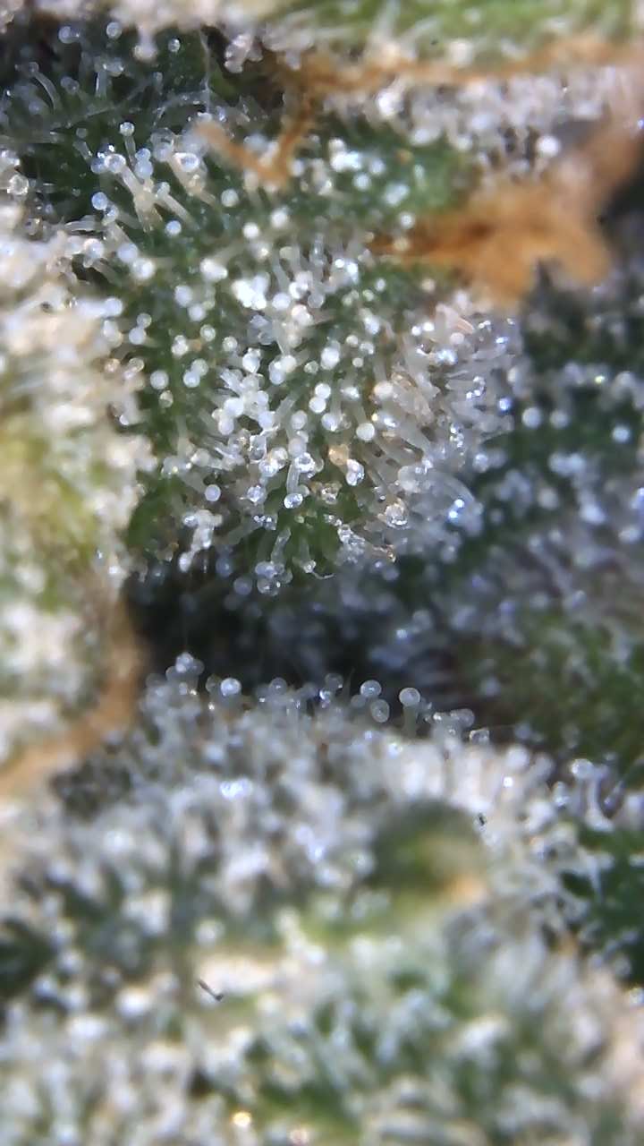 Image_2025-07-07 17_05_05_057.jpg