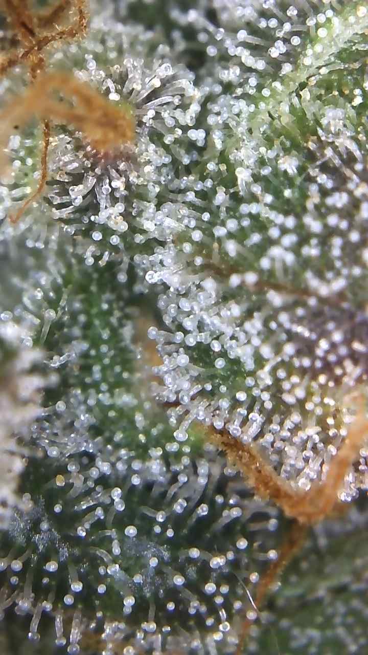 Image_2025-07-14 17_28_10_340.jpg