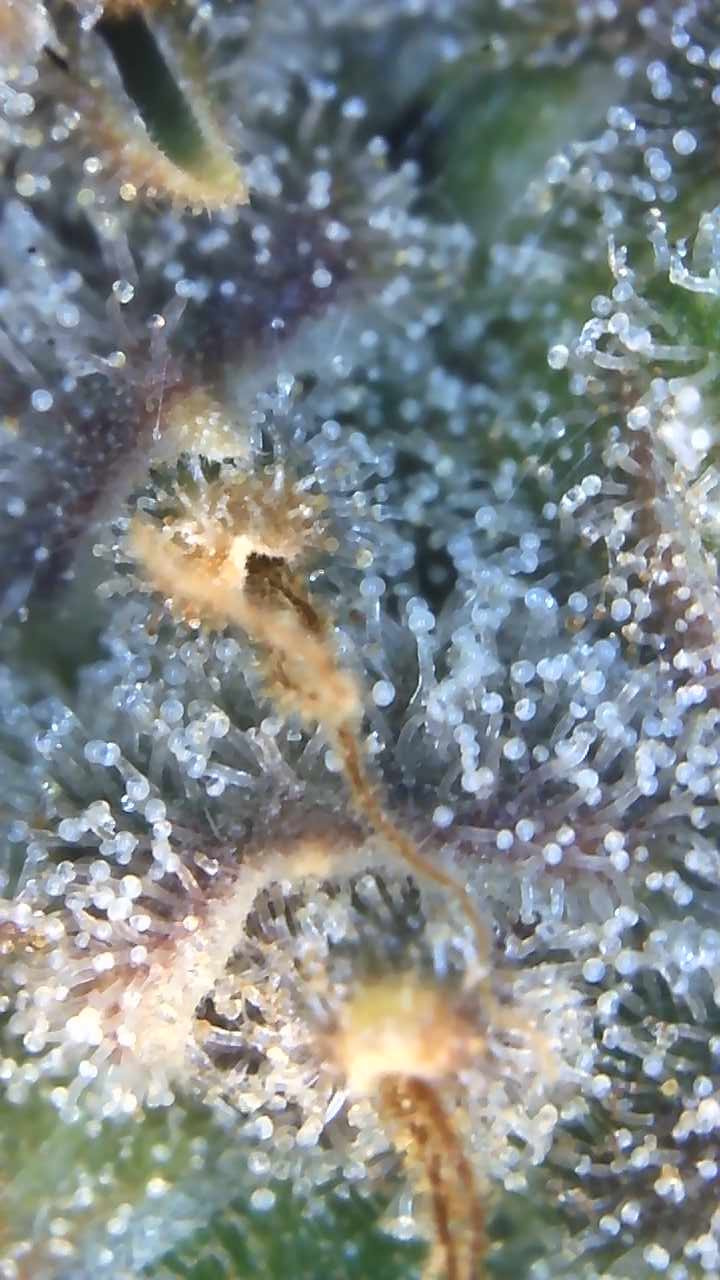 Image_2025-07-14 17_28_59_031.jpg