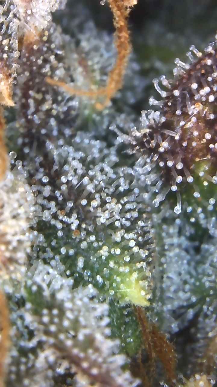 Image_2025-07-14 17_29_35_235.jpg