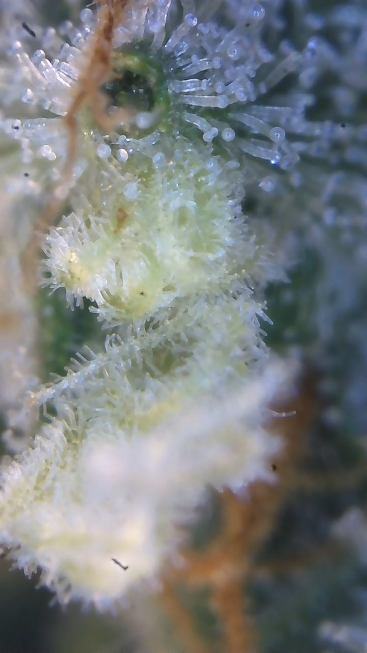 Image_2025-08-10 08_42_16_340.jpg