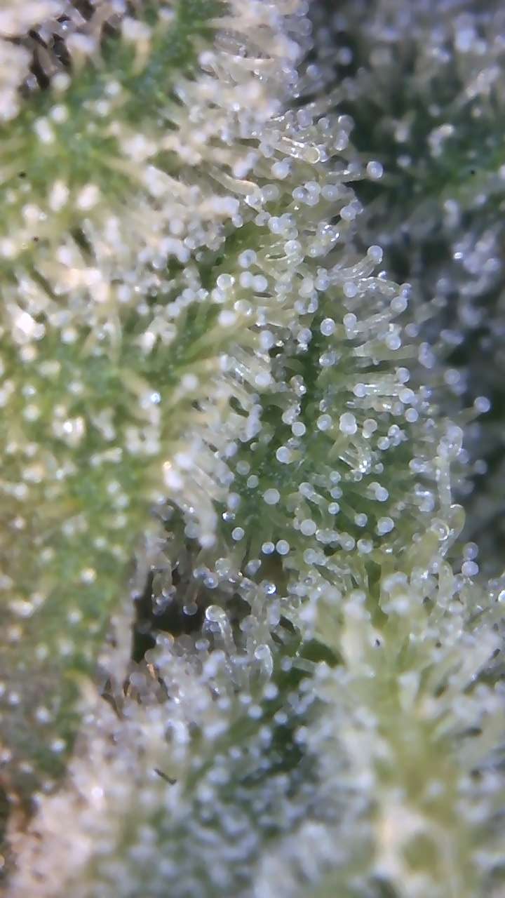 Image_2025-08-10 08_42_51_987.jpg