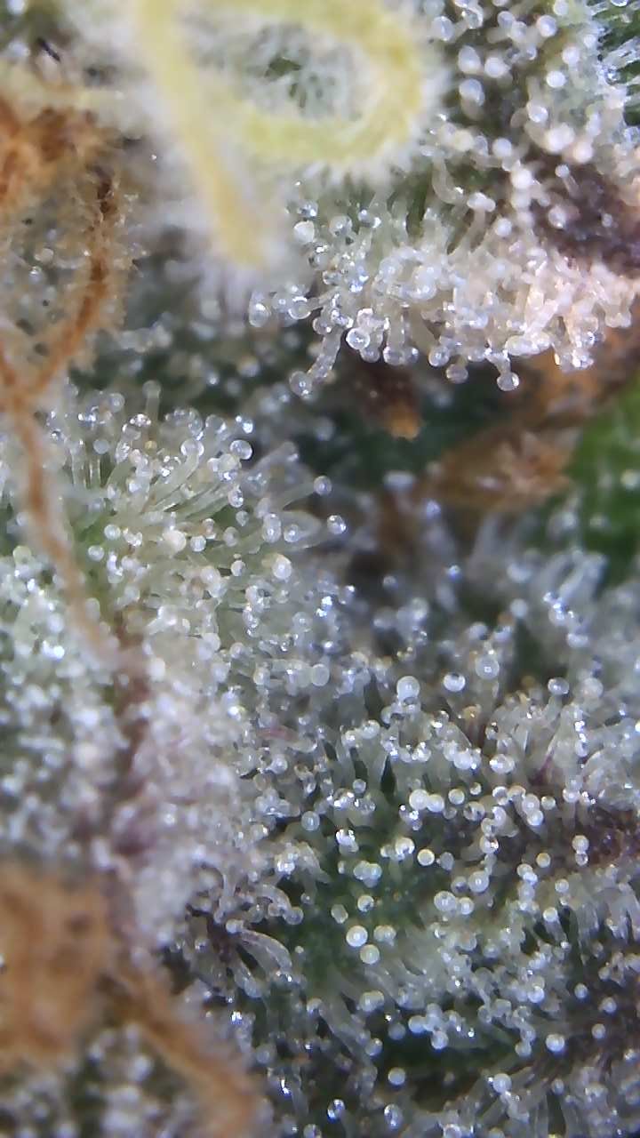 Image_2025-11-02 07_43_36_381.jpg