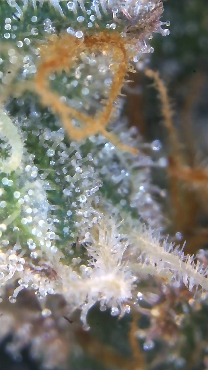 Image_2025-11-02 07_44_08_858.jpg