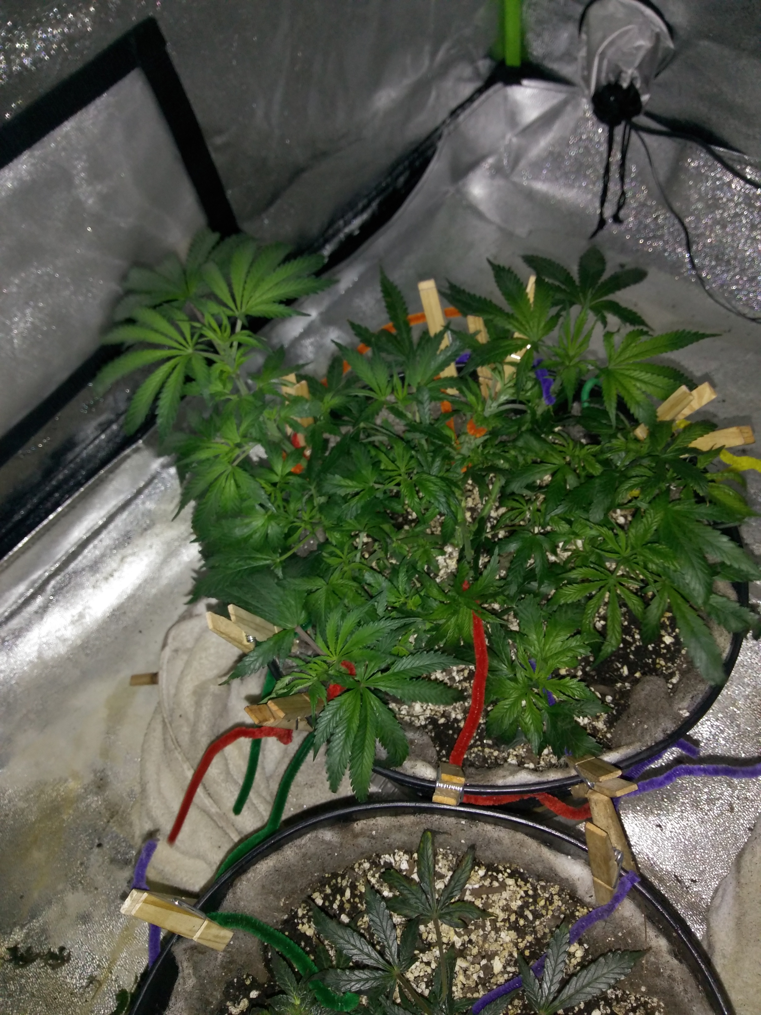 IMG_20180518_204700881