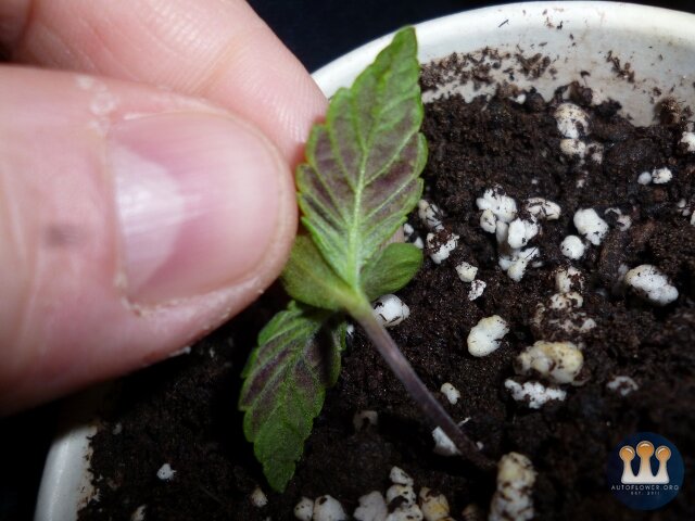 P1040192 (640x480).jpg