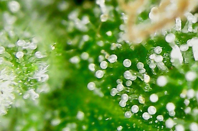 Photo On 6-14-19 At 5.23 PM #2