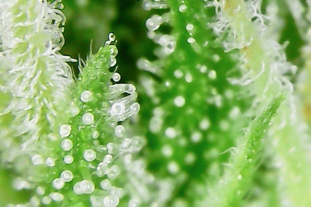 Photo On 6-14-19 At 5.23 PM