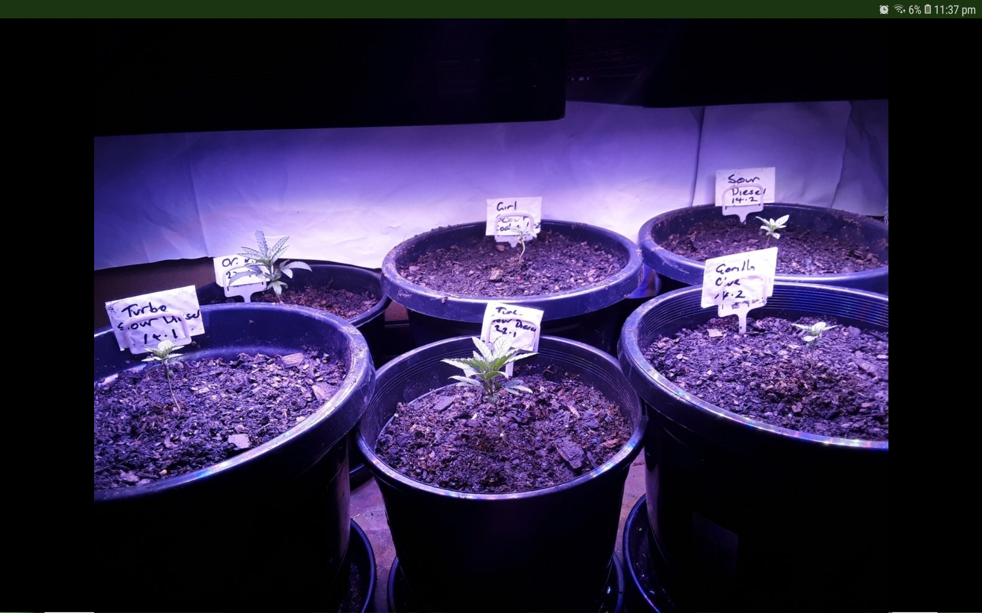 Screenshot_20190214-233707_Samsung Internet