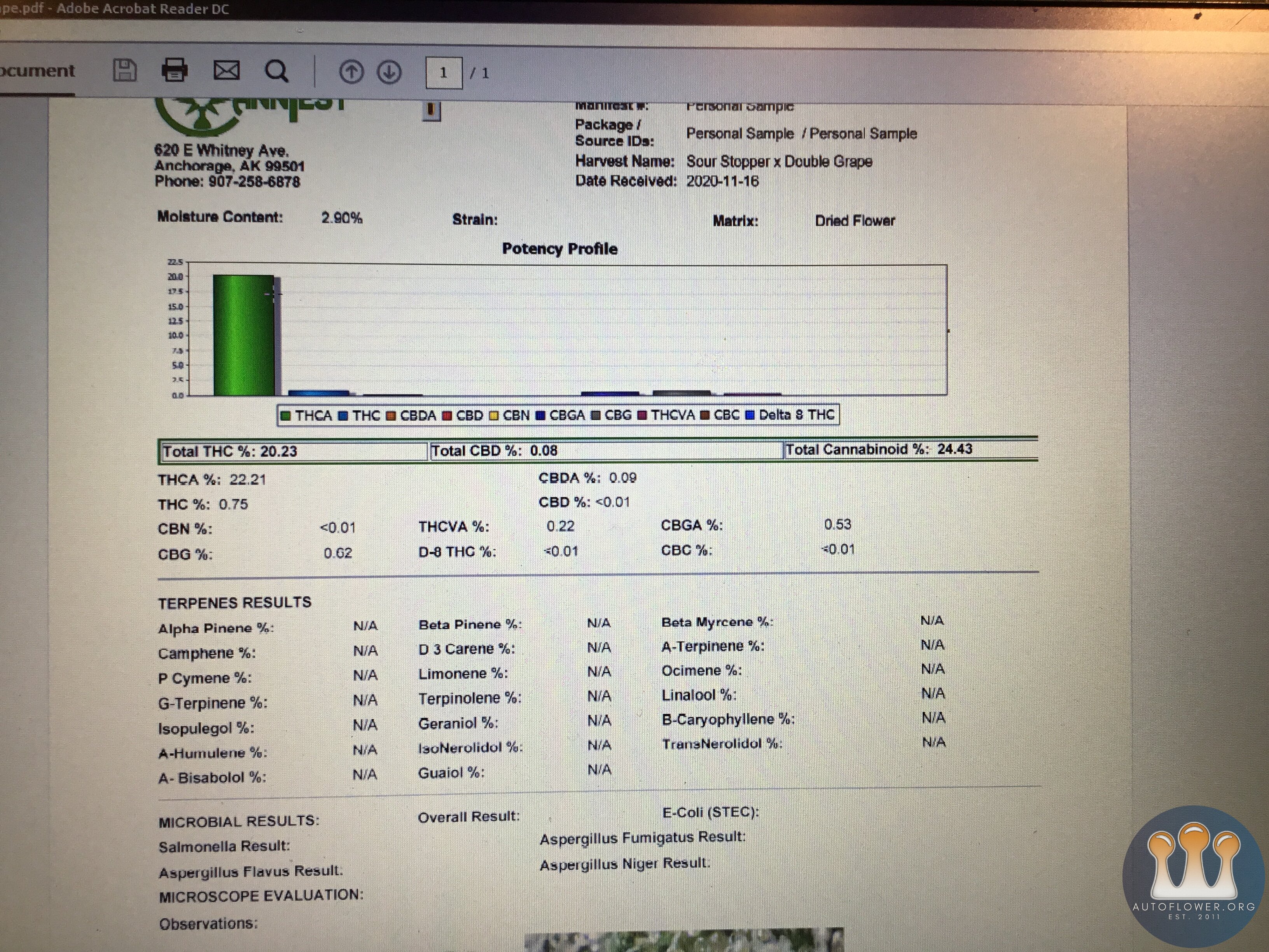 Sour Stomper x Double Grape test results