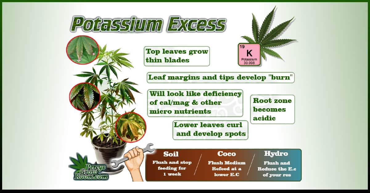 percysgrowroom.com
