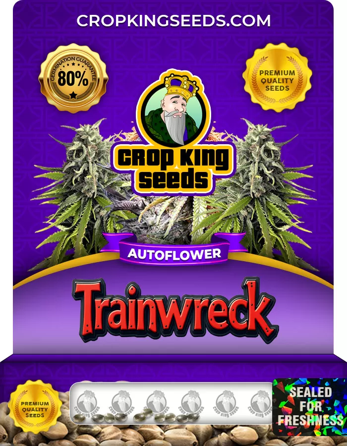 www.cropkingseeds.com