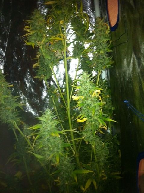 image-10-jpeg.614555