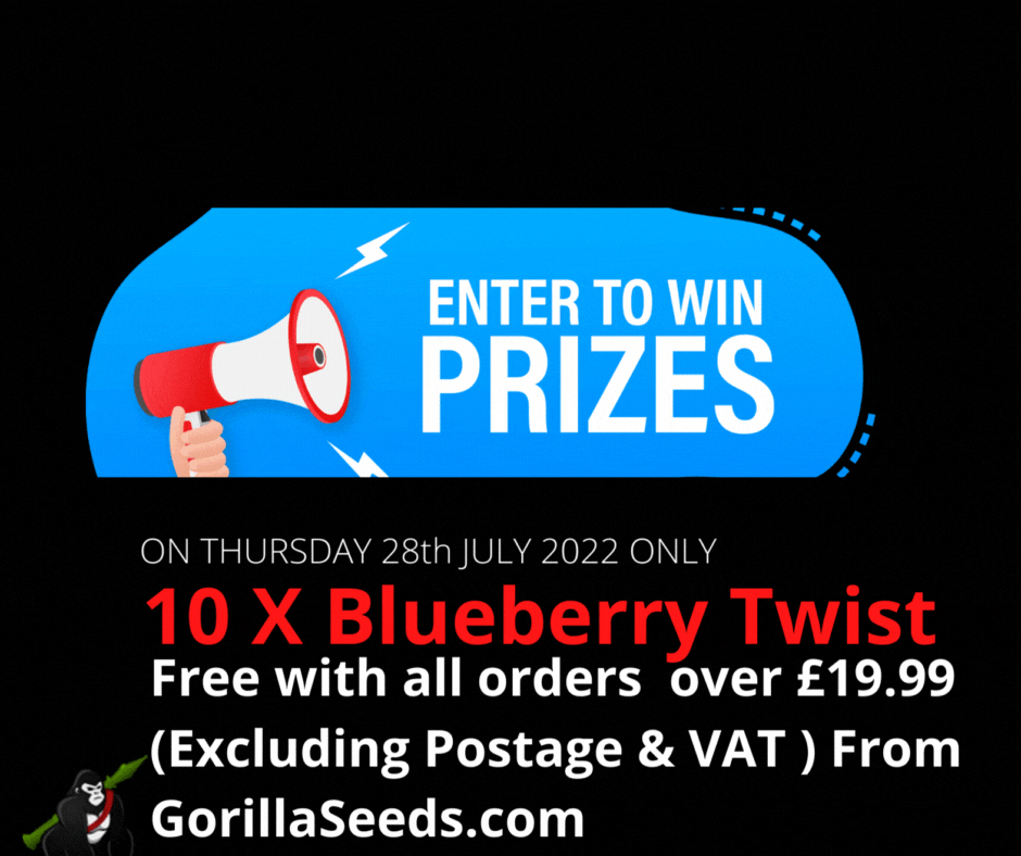 10 blueberry Twist FREE FaceBook 10 blueberry Twist FREE FaceBook