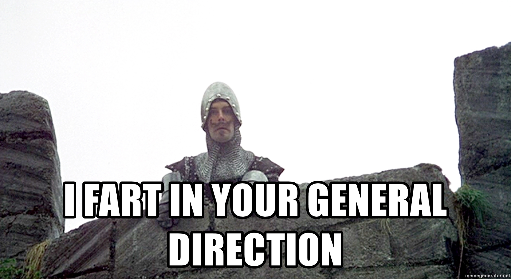 i-fart-in-your-general-direction.jpg