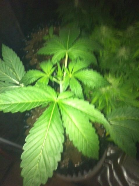 image-10-jpeg.601699