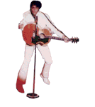graphics-elvis-676478.gif