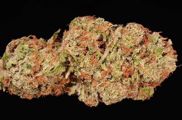 hybrid_sfv-headband_high-level-health-001.jpg