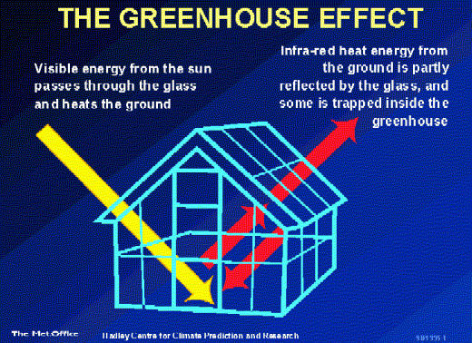 greenhouse.gif