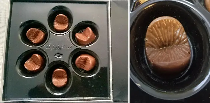 edible-chocolate-anus.jpg