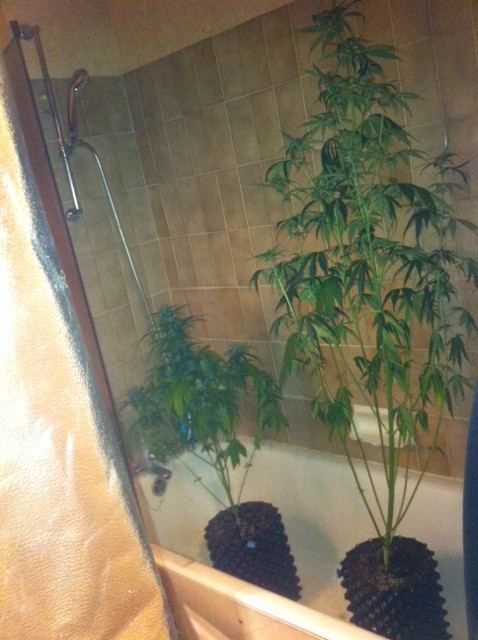 image-13-jpeg.604066