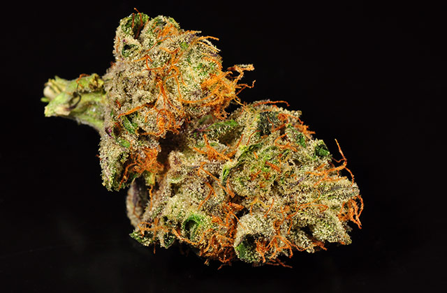 skywalker-OG-%283%29.jpg